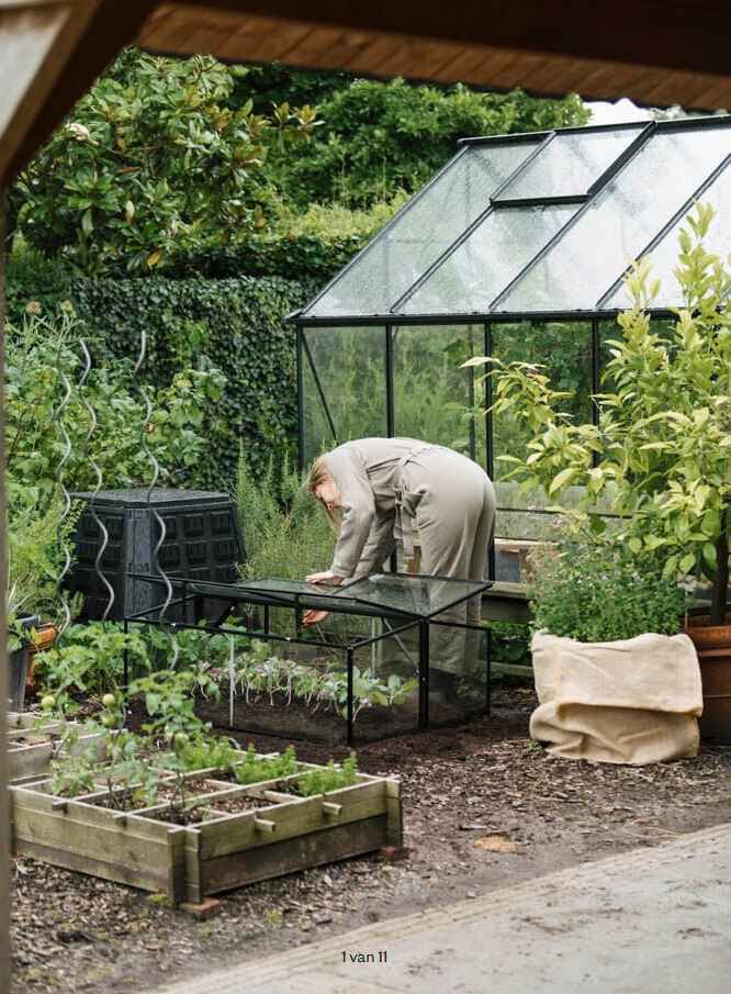 koude kas kalender welkoop